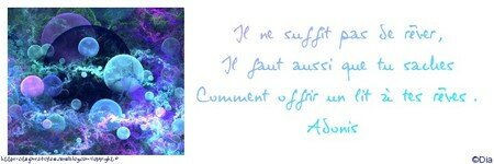 reve