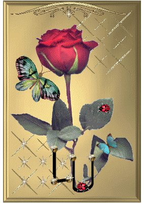 6s907yby