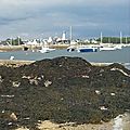 Le haïku du dimanche