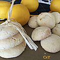 Biscuits Craquelés au citro4