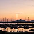 IMG_5261 - Copie
