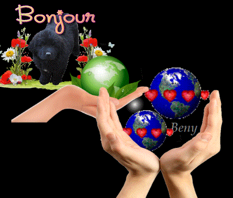 &aecologie00