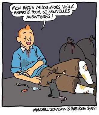 glory_owl_tintin_b
