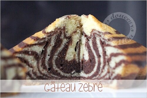 Gâteau_Zebré005