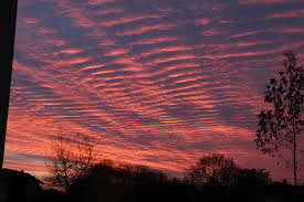 Résultat de recherche d'images pour "ciel rose le matin"