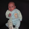 UL Bis - Anatole, photo tous les mois