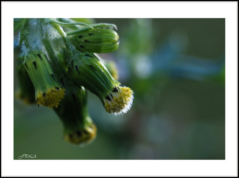 14 01 16 14 01 14 macro 8090 c