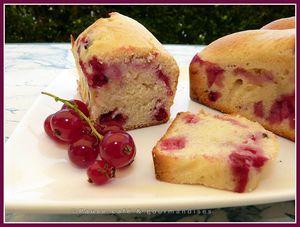 groseilles_ricotta__25_
