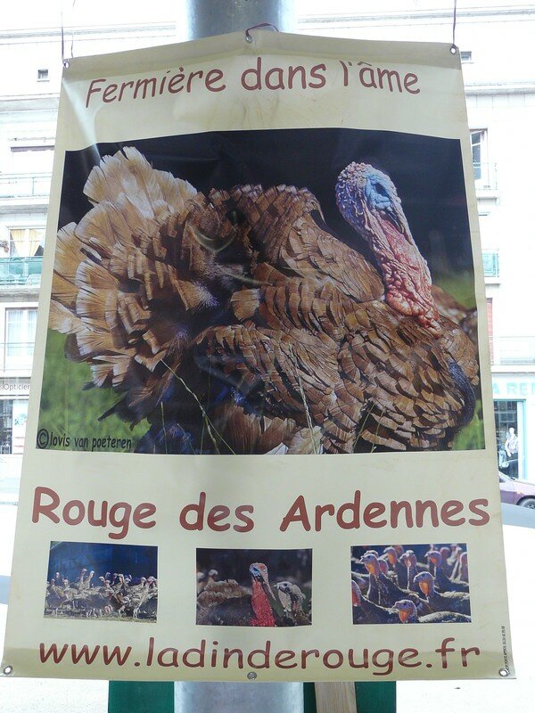Top annonce site de rencontre Top annonce site de rencontre