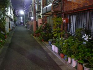 Canalblog_Rues_Plantes12_Ikebukuro