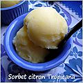 Sorbet citron tropicana