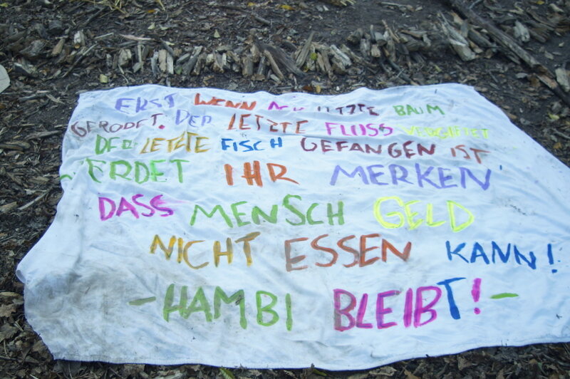 steffen2