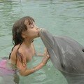 P - Les dauphins de Mooréa (15)