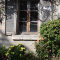 Belle Touraine