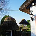 IMGP0316
