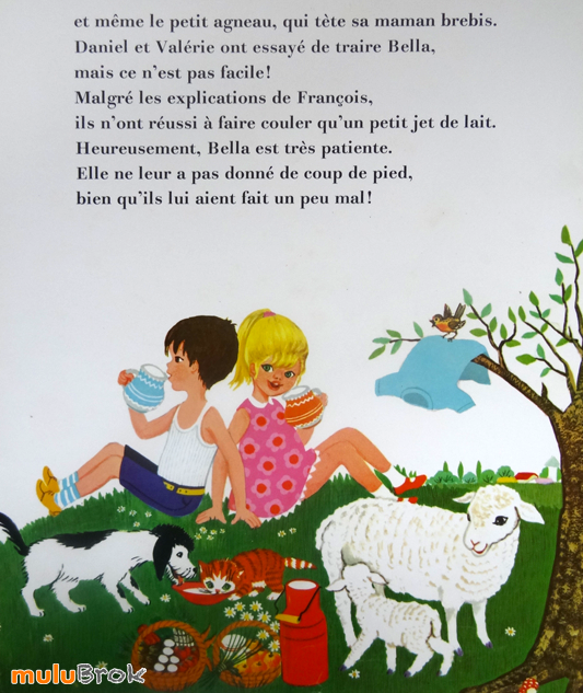 Daniel-et-Valérie-à-la-campagne-07-muluBrok
