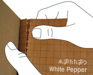 spicy_book2_508x410