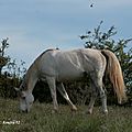 IMG_5765