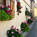 colfenetrefleurie4
