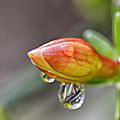 IMG_6782