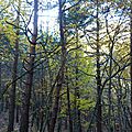 P1110168 - Copie