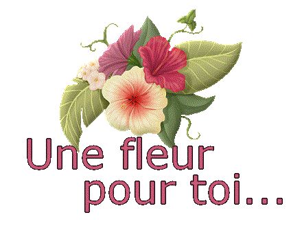 0a79da19