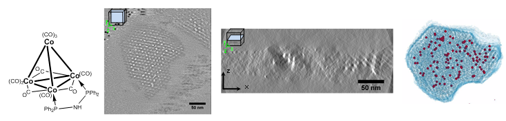 Nanoparticules-fonctionnelles-organisées-dans-des-solides-mésoporeux