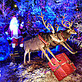 ♥ joyeux noël à tous ♥