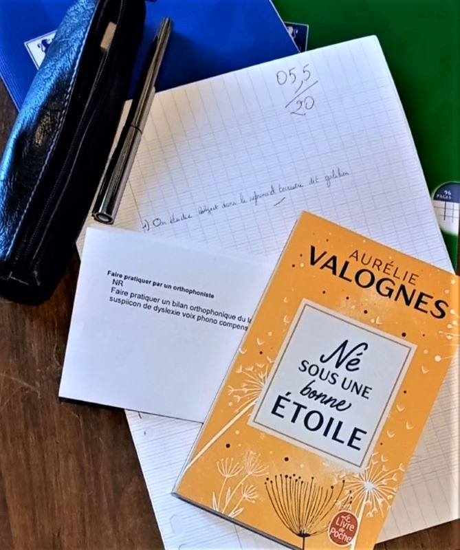 Né sous une bonne étoile Aurélie Valogne (2020) Fuzzy Shards