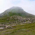 le puy de Paillaret (1721 m)