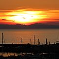 IMG_0098