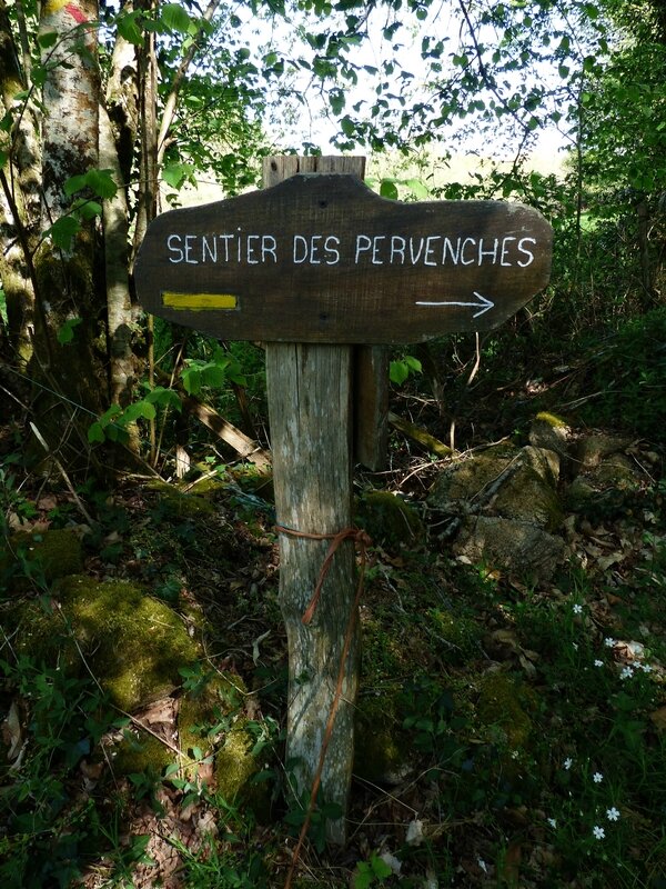 P1330022