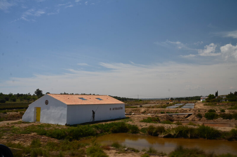 DSC_5208;