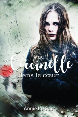 cover-1264