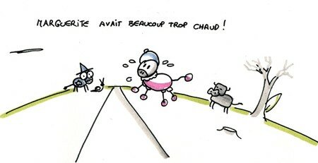 hab5