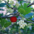 IMG_5587 - Copie