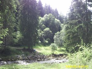 PICT0607