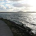 IMG_5572