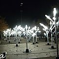Valence, lumières et images en fête 2012 - wood
