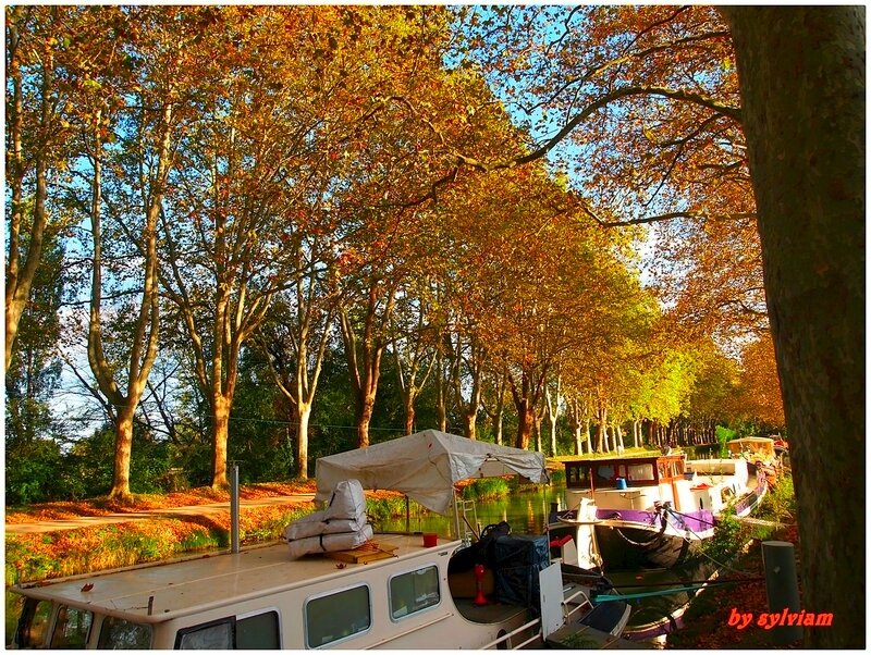 le canal en automne