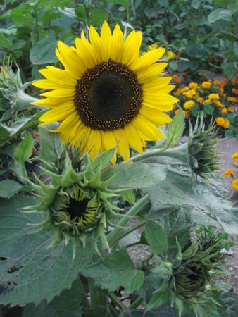 2008_09_01_057