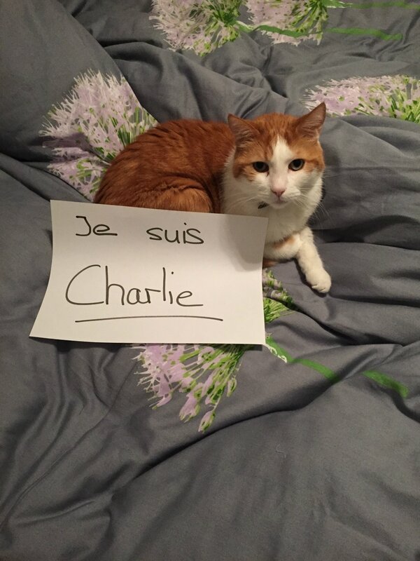 Je suis Charlie 3