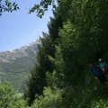 IMG_0525
