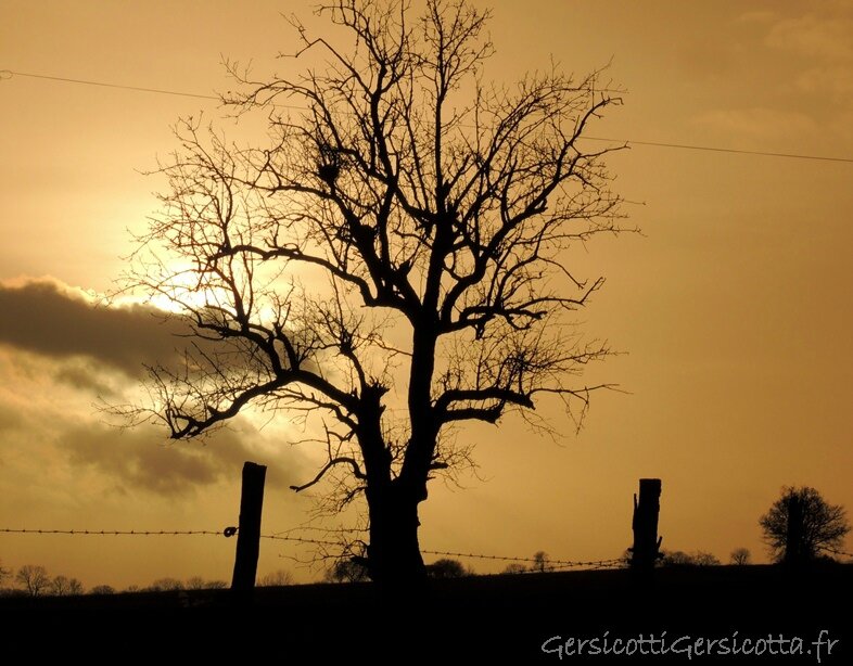 Le Ciel Est Bleu Comme Une Orange Gersicotti Gersicotta