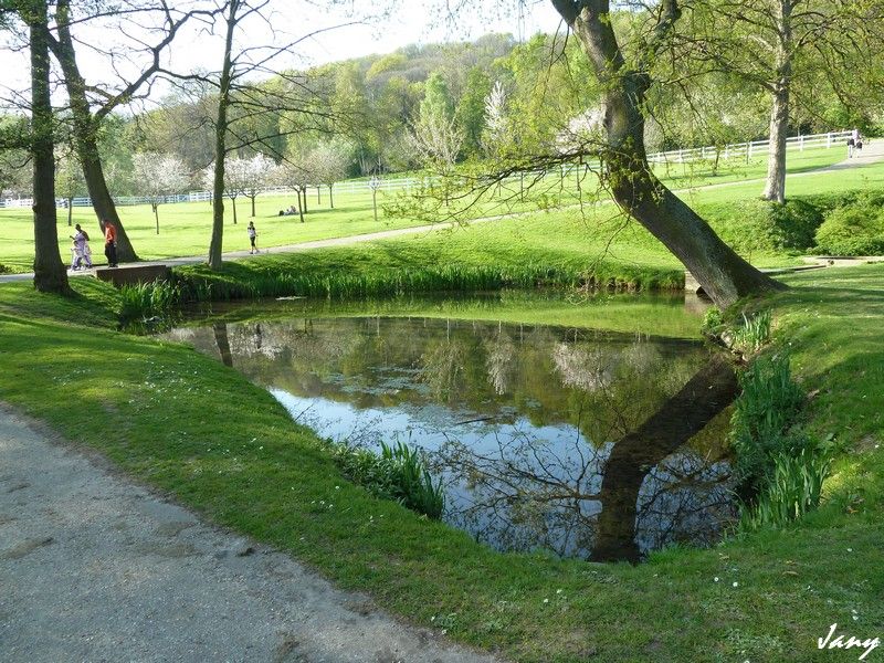 P1000504