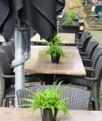BRUGES terrasses (12)
