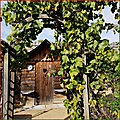 porte1_Collection