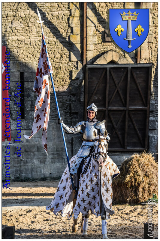 Armoiries, étendard, bannière de Jeanne d'Arc