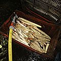 DSC00206