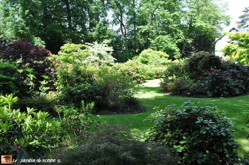 Jardin-des-Rhodo-2